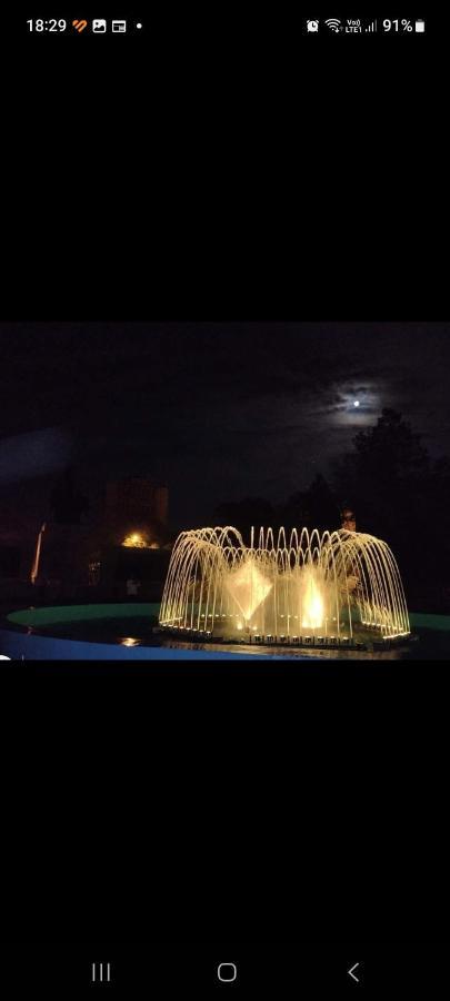 Casa Cojocaru Bed & Breakfast Turnu Magurele Luaran gambar